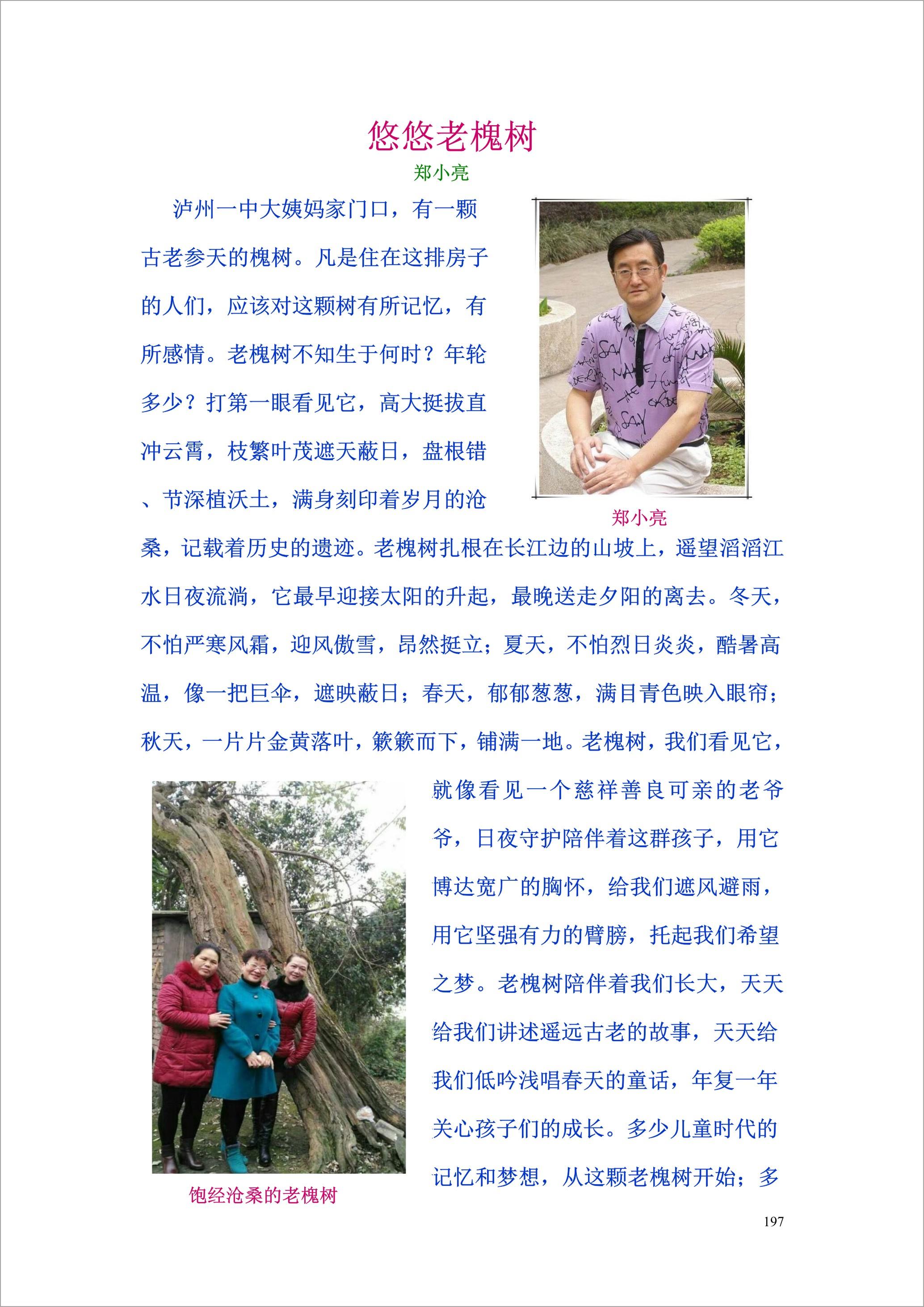 泸州外国语学校