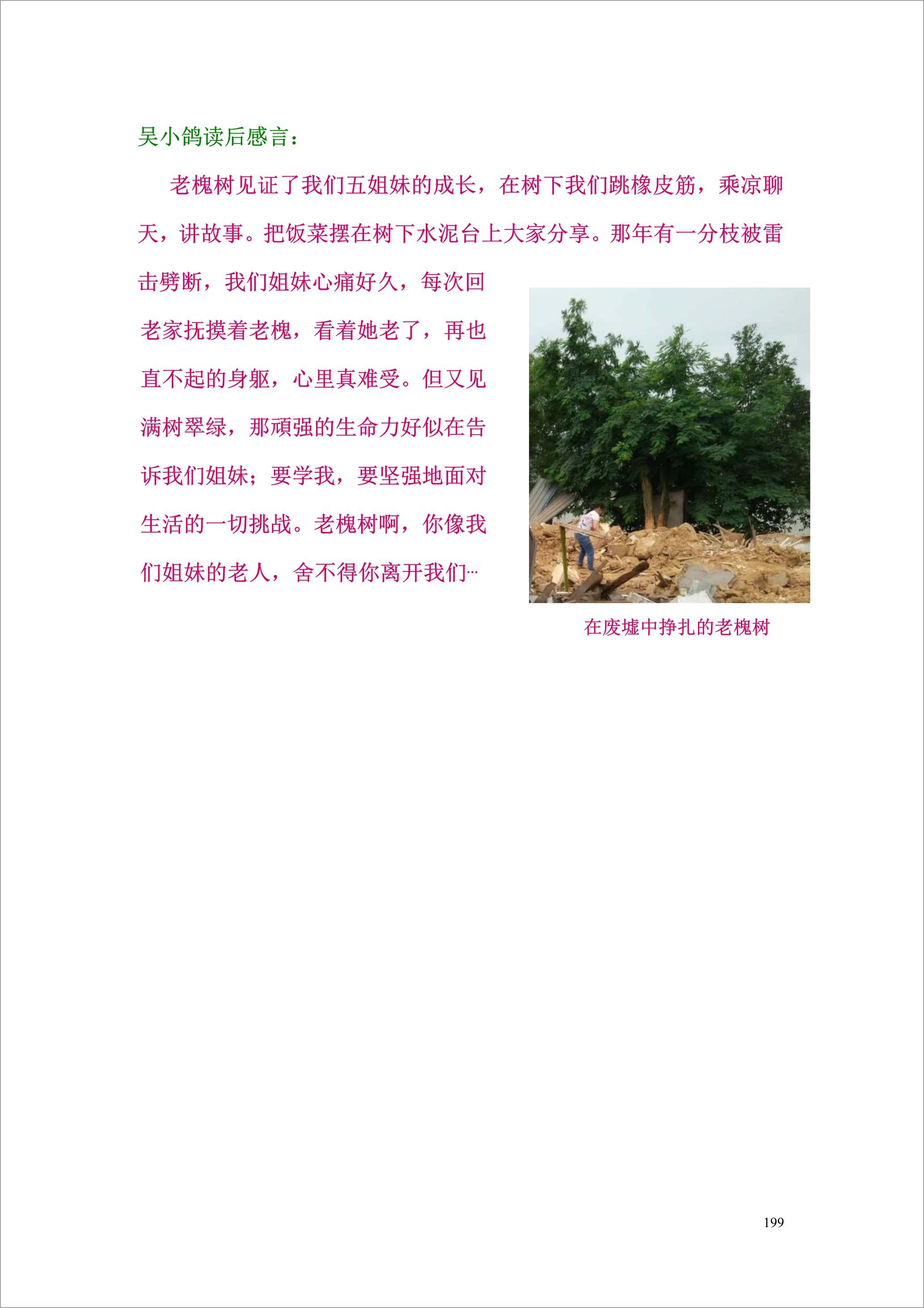 泸州外国语学校