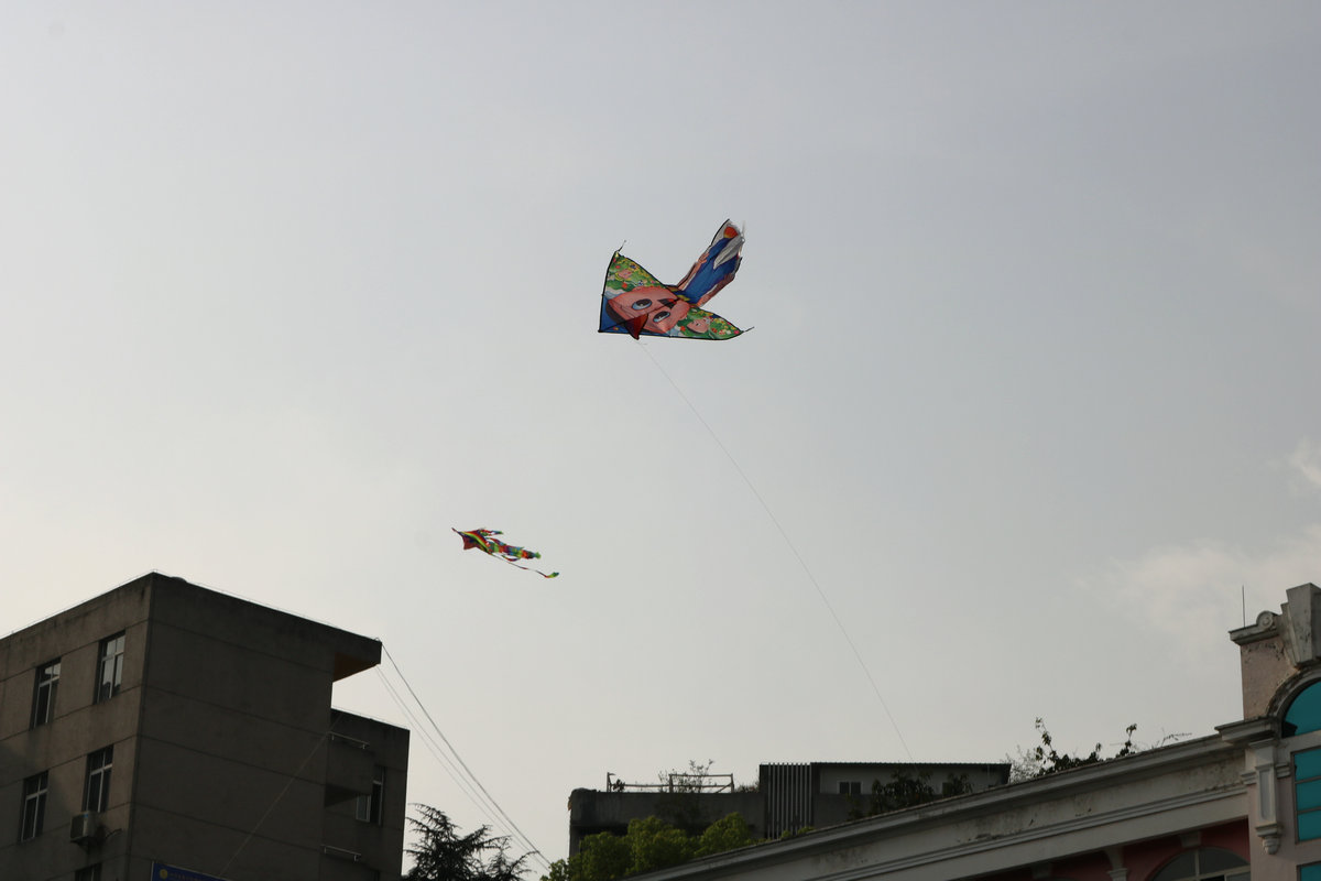 IMG_4225.jpg