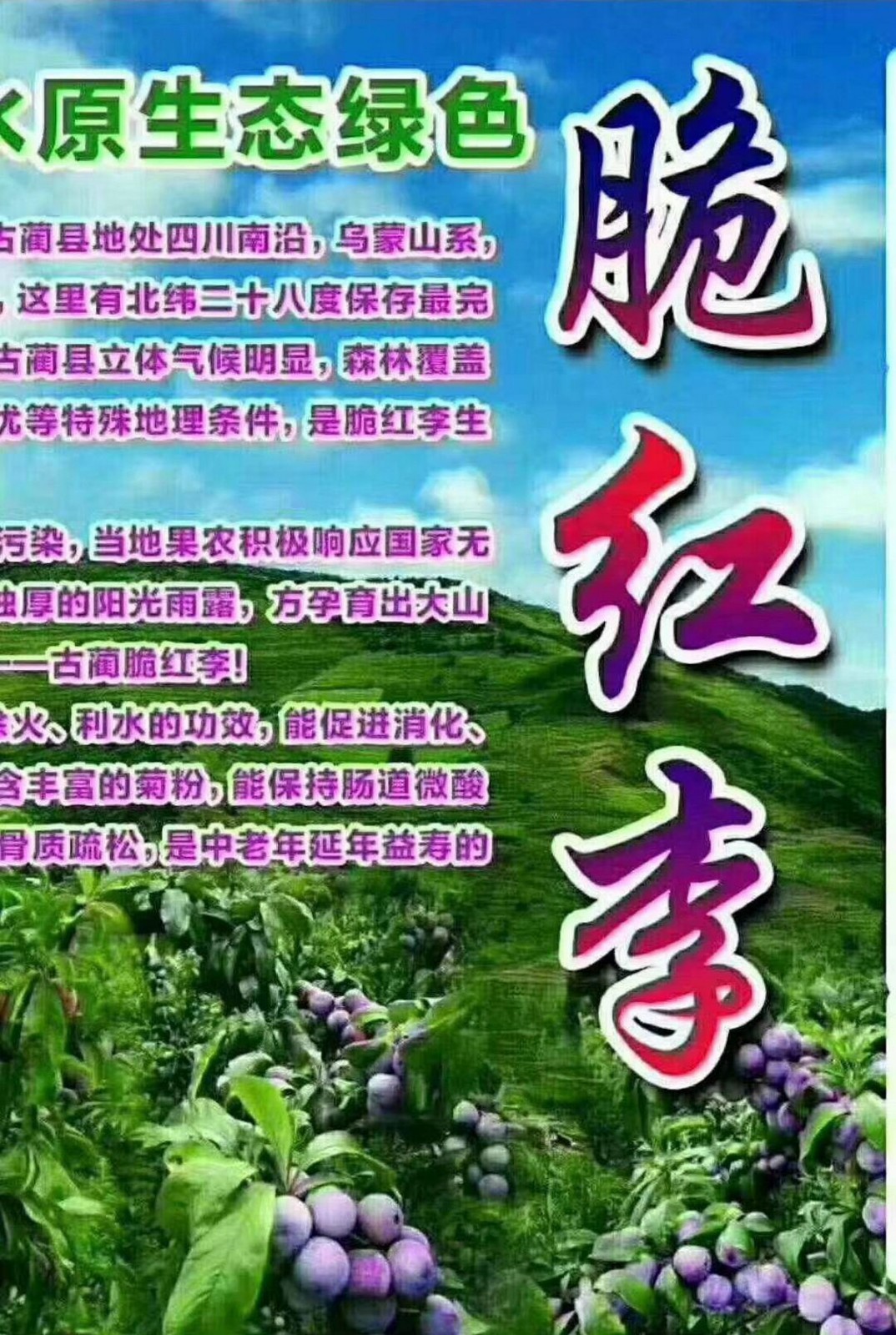 QQ图片20190902120905.jpg