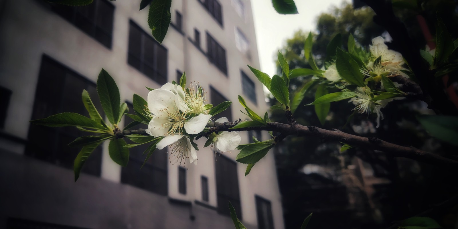 微信图片_20210307200912.jpg