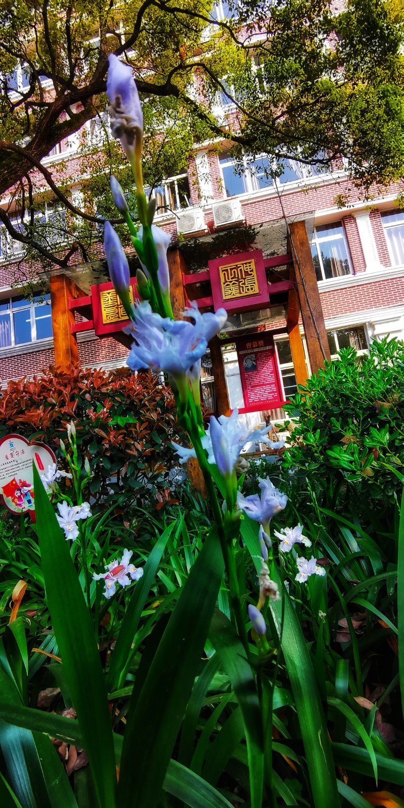 微信图片_20210307200925.jpg