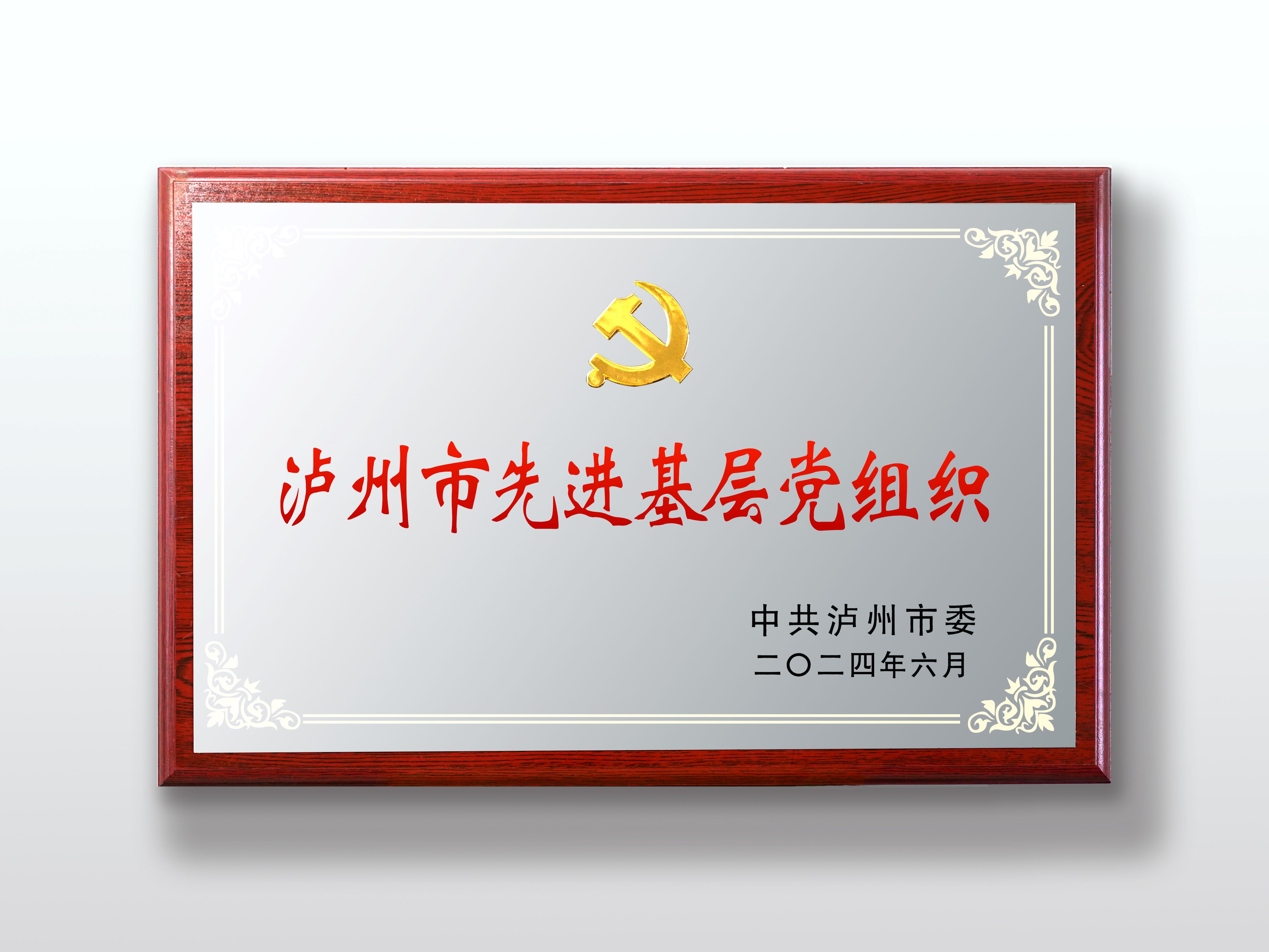 泸州市先进基层党组织